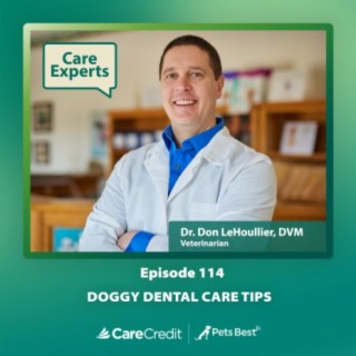Doggy Dental Care Tips - Dr. Don LeHoullier