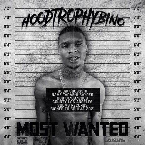 Mosted Wanted | Boomplay Music