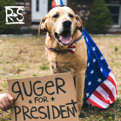 Ruger for President | Boomplay Music