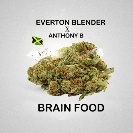 Brain Food (feat. Anthony B) | Boomplay Music