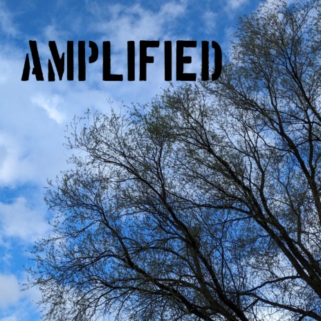amplified | Boomplay Music