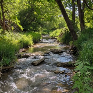 Aguas Binaurales Serenas: Experiencia De Relajación Pura