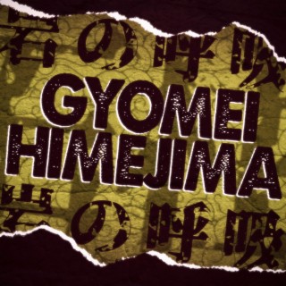 Gyomei Himejima: Pilar Mais Forte