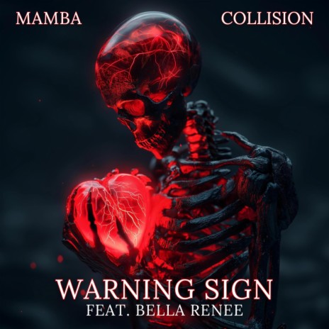 Warning Sign ft. COLLISION & Bella Renee | Boomplay Music