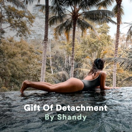 Gift Of Detachment Meditation | Boomplay Music