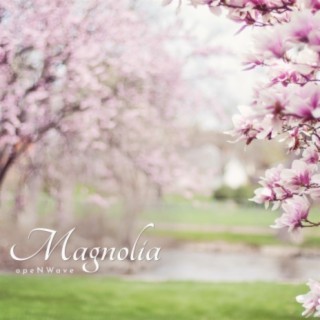 Magnolia