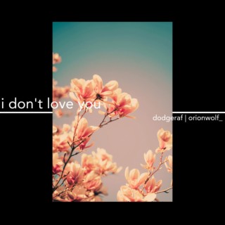 I Don't Love You