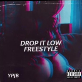 drop it low freestyle (twerk song)