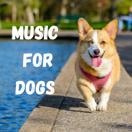 Dog Sleep ft. Relaxing Puppy Music, Music For Dogs Peace & Music For Dogs | Boomplay Music