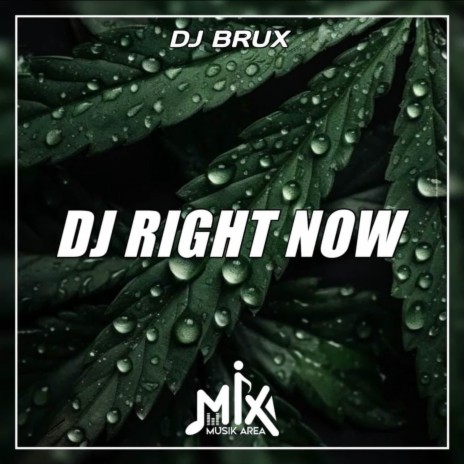 DJ Right Now | Boomplay Music