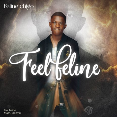 feel feline | Boomplay Music