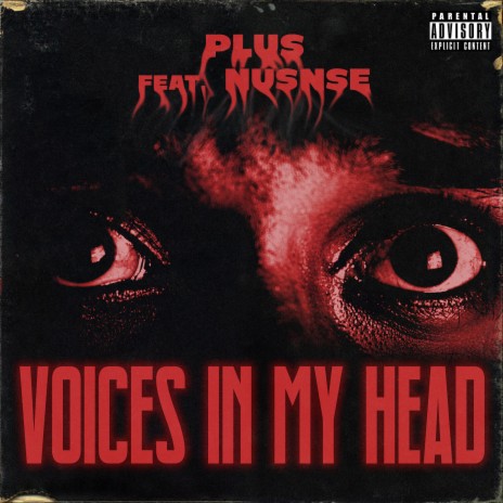 Voices in My Head ft. NuSnse