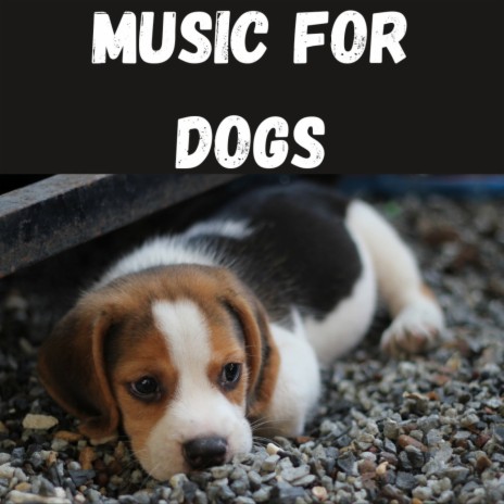 For Anxious Dogs ft. Music For Dogs Peace, Calm Pets Music Academy & Relaxing Puppy Music