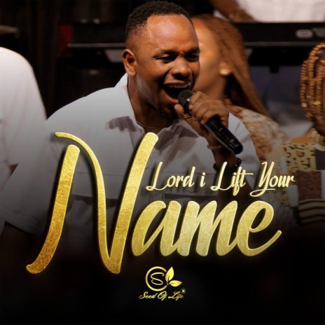 LORD I LIFT YOUR NAME | Boomplay Music