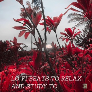 Lo-fi Beats To Relax and Study To, Vol. 48