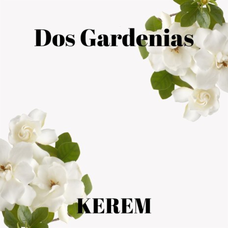 Dos Gardenias (feat. Diego El Cigala) | Boomplay Music