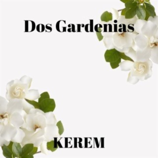 Dos Gardenias (feat. Diego El Cigala)