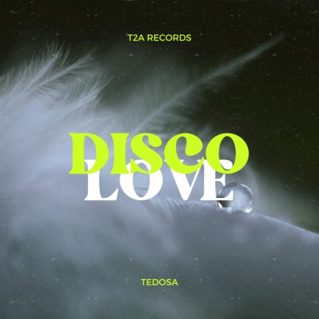 DISCO LOVE | Boomplay Music