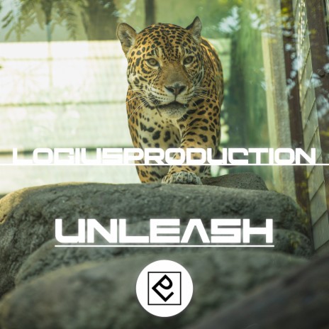 Unleash | Boomplay Music