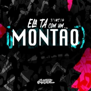 Ela Ta Com Um Montão (feat. Mc Diguinho)