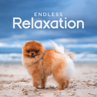 Endless Relaxation: Deeply Soothing Piano with The Sound of Ocean for Pets and Their Owners, Piano Music Lullaby For Dogs Pets Puppies