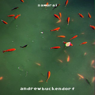 Andrew Buckendorf
