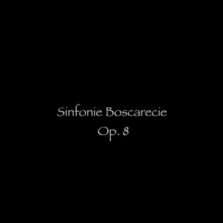 Sinfonie Boscarecie, Op. 8