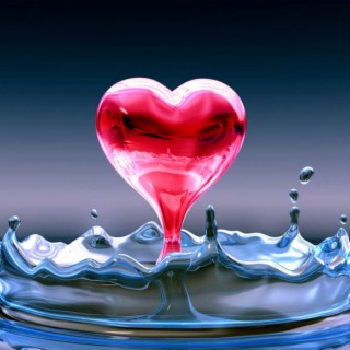 Liquid Heart