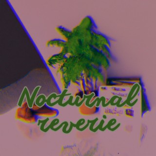 Nocturnal Reverie