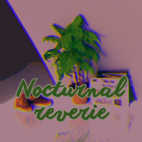 Nocturnal Reverie | Boomplay Music