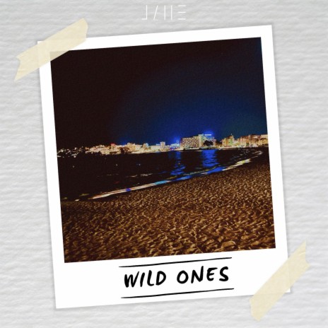 Wild Ones | Boomplay Music