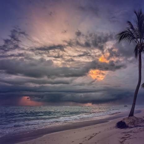 Waves in a Tropical Storm on a Beach ft. Sleep Waves & FX waves