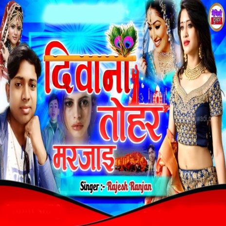 Deewana Tohar Marjiee | Boomplay Music