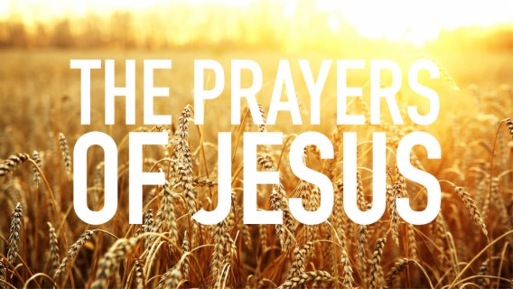 Jul. 21st, 2019 | The Prayers of Jesus - Jesus Prays for All Believers