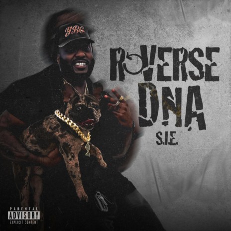 Reverse DNA | Boomplay Music