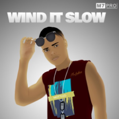 wind it slow | Boomplay Music