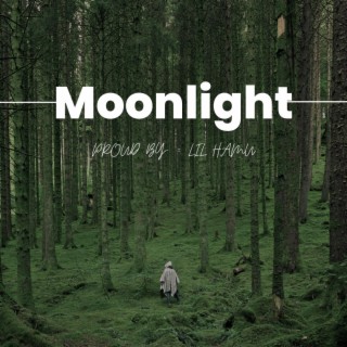 Moonlight (official audio)