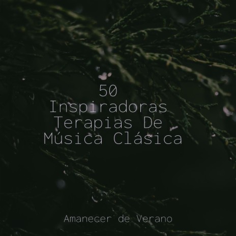 Vuelo Efímero de Calma ft. Relajación Meditar Academie & Nature Sounds Nature Music | Boomplay Music