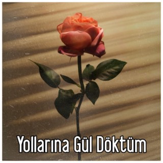 Yollarına Gül Döktüm