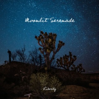 Moonlit Serenade