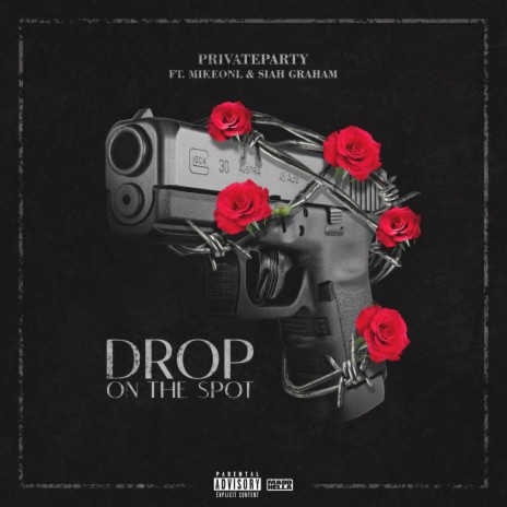 Drop On The Spot ft. Siah Graham & Private Party | Boomplay Music