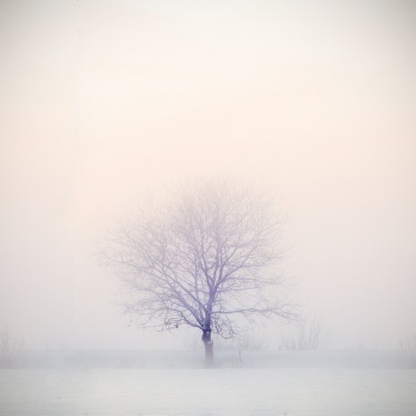 Infinite Spring Forest Thaw - White Noise for Baby Sleep, Relaxation, Study | Boomplay Music