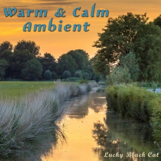 Warm & Calm Ambient