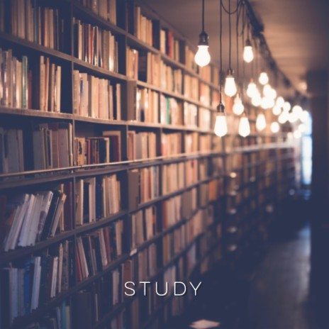 Study | Boomplay Music