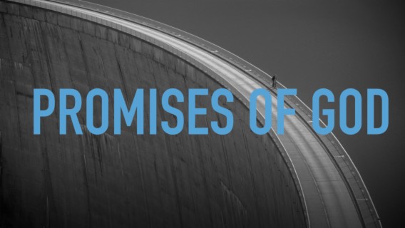 Aug. 11th, 2019 | Promises of God