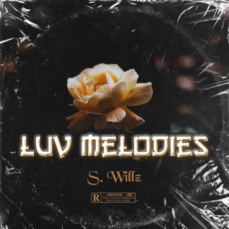 Luv Melodies | Boomplay Music