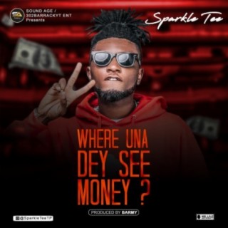 Where Una Dey See Money? lyrics | Boomplay Music