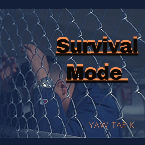 Survival Mode | Boomplay Music