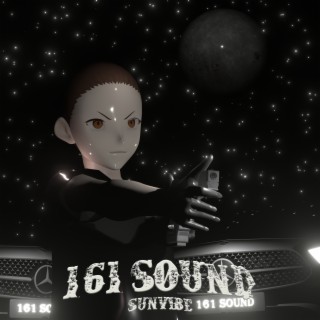 161 Sound