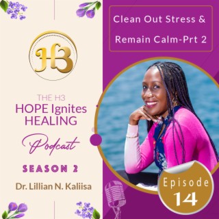 April 2023: Clean Out Stress & Remain Calm  - Part 2 Sn - 02, Ep - 14